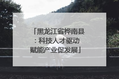 黑龙江省桦南县：科技人才驱动 赋能产业促发展