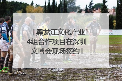 黑龙江文化产业14组合作项目在深圳文博会现场签约
