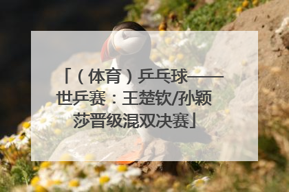 （体育）乒乓球——世乒赛：王楚钦/孙颖莎晋级混双决赛