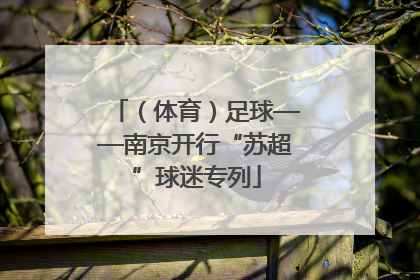 （体育）足球——南京开行“苏超”球迷专列