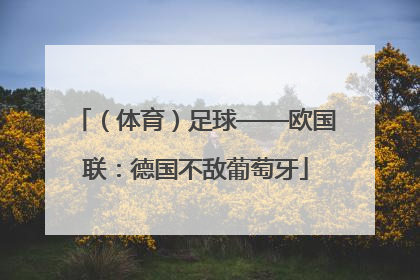 （体育）足球——欧国联：德国不敌葡萄牙