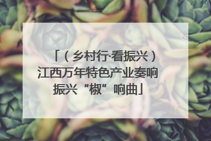 （乡村行·看振兴）江西万年特色产业奏响振兴“椒”响曲