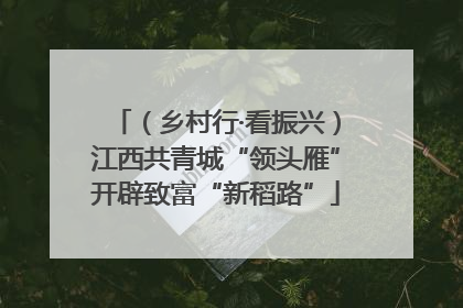 （乡村行·看振兴）江西共青城“领头雁”开辟致富“新稻路”