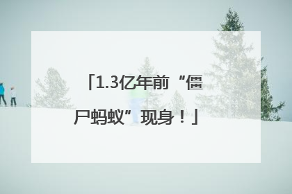 1.3亿年前“僵尸蚂蚁”现身！
