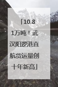 10.81万吨！武汉阳逻港直航货运量创十年新高