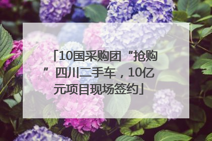 10国采购团“抢购”四川二手车，10亿元项目现场签约