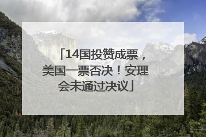 14国投赞成票，美国一票否决！安理会未通过决议