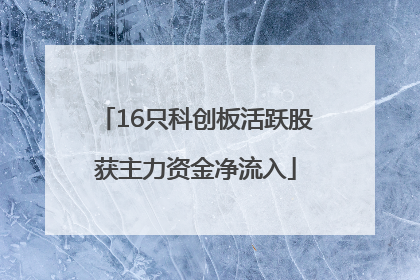 16只科创板活跃股获主力资金净流入