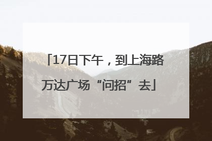 17日下午，到上海路万达广场“问招”去