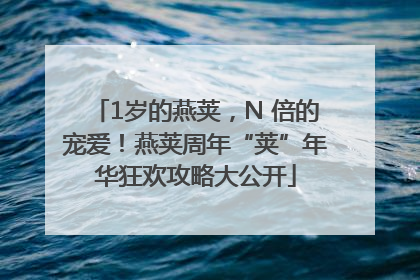 1岁的燕荚，N 倍的宠爱！燕荚周年“荚”年华狂欢攻略大公开