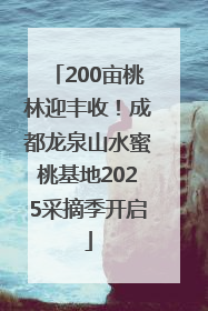 200亩桃林迎丰收！成都龙泉山水蜜桃基地2025采摘季开启
