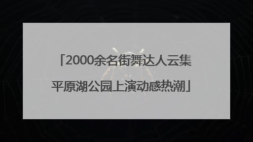 2000余名街舞达人云集 平原湖公园上演动感热潮