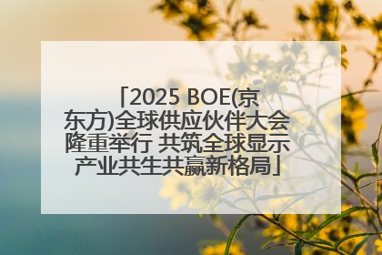 2025 BOE(京东方)全球供应伙伴大会隆重举行 共筑全球显示产业共生共赢新格局