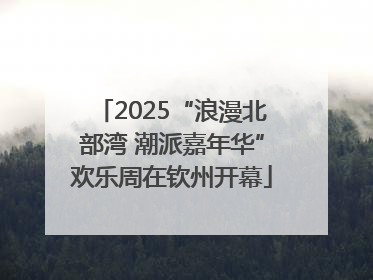 2025“浪漫北部湾 潮派嘉年华”欢乐周在钦州开幕