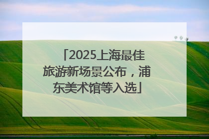 2025上海最佳旅游新场景公布，浦东美术馆等入选