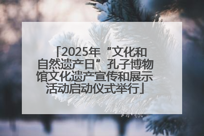 2025年“文化和自然遗产日”孔子博物馆文化遗产宣传和展示活动启动仪式举行