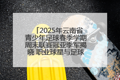 2025年云南省青少年足球春季学期周末联赛冠亚季军揭晓 职业球星与足球小将共享荣耀时刻