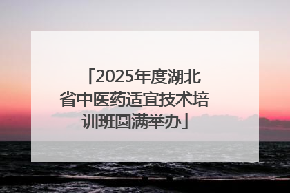 2025年度湖北省中医药适宜技术培训班圆满举办