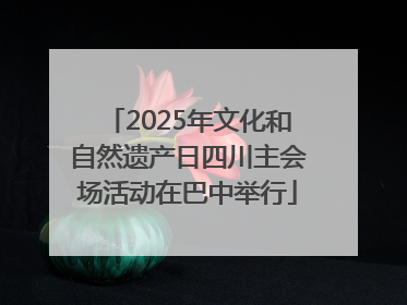 2025年文化和自然遗产日四川主会场活动在巴中举行