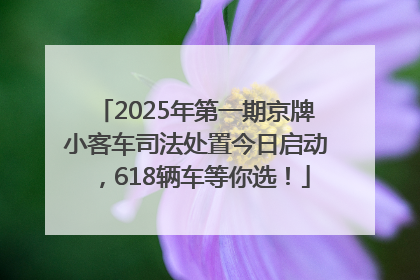 2025年第一期京牌小客车司法处置今日启动，618辆车等你选！