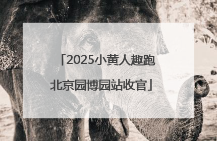 2025小黄人趣跑北京园博园站收官