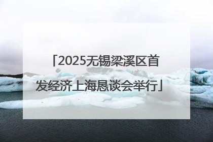2025无锡梁溪区首发经济上海恳谈会举行