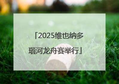 2025维也纳多瑙河龙舟赛举行