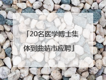 20名医学博士集体到曲靖市应聘