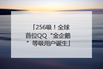 256级！全球首位QQ“金企鹅”等级用户诞生