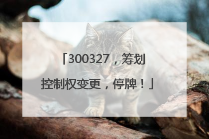 300327，筹划控制权变更，停牌！