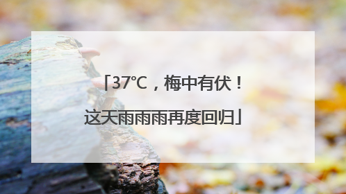37℃，梅中有伏！这天雨雨雨再度回归