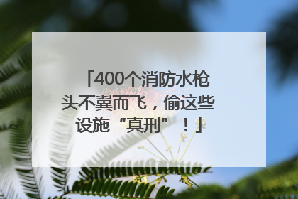 400个消防水枪头不翼而飞，偷这些设施“真刑”！