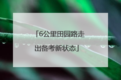 6公里田园路走出备考新状态