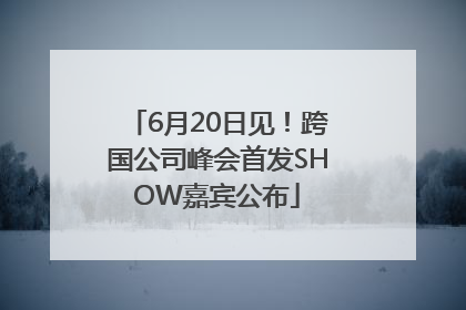 6月20日见！跨国公司峰会首发SHOW嘉宾公布