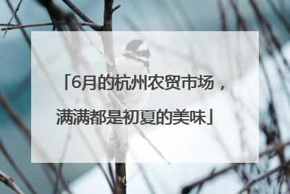 6月的杭州农贸市场，满满都是初夏的美味