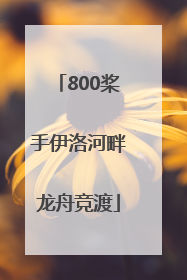 800桨手伊洛河畔龙舟竞渡