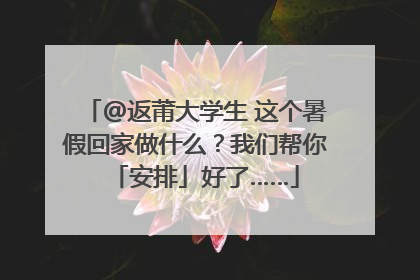 @返莆大学生 这个暑假回家做什么？我们帮你「安排」好了……