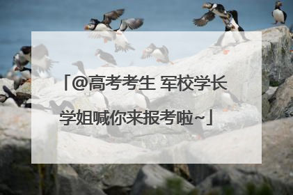 @高考考生 军校学长学姐喊你来报考啦~