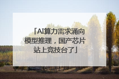 AI算力需求涌向模型推理，国产芯片站上竞技台了