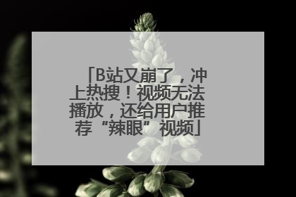 B站又崩了，冲上热搜！视频无法播放，还给用户推荐“辣眼”视频