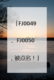FJ0049、FJ0050，被点名！