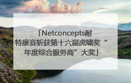 Netconcepts耐特康赛斩获第十六届虎啸奖“年度综合服务商”大奖